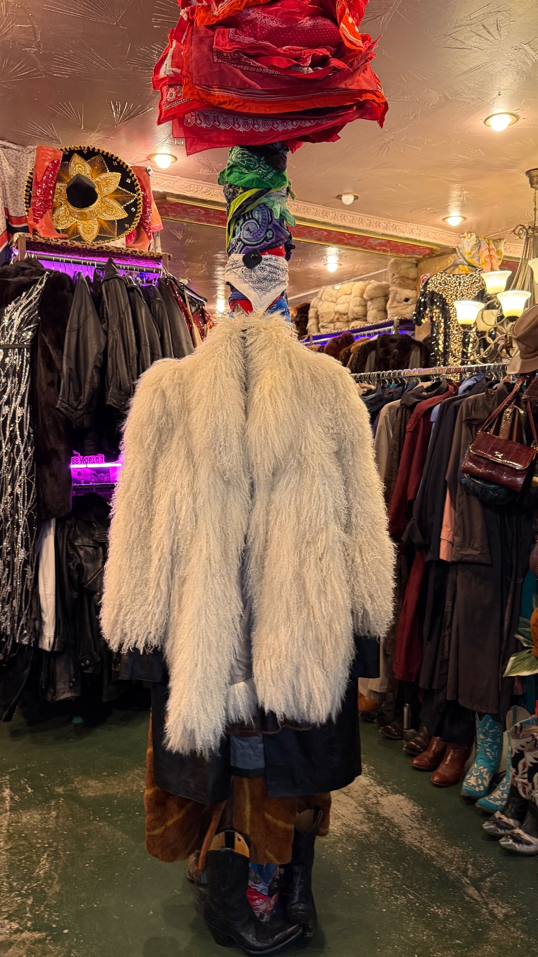 Barracuda, shop in Paris, photo 4